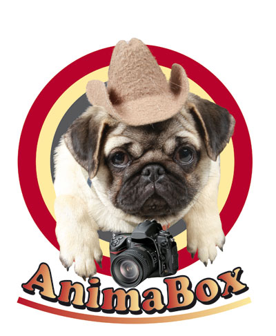 Animabox